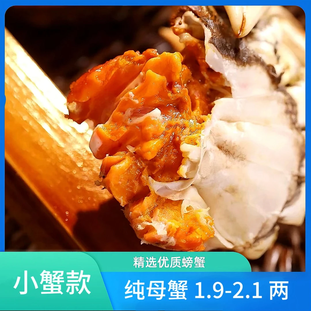 【活蟹】河蟹 母蟹1.9-2.1两 拍10送2 净重1150g 顺丰冷链包邮