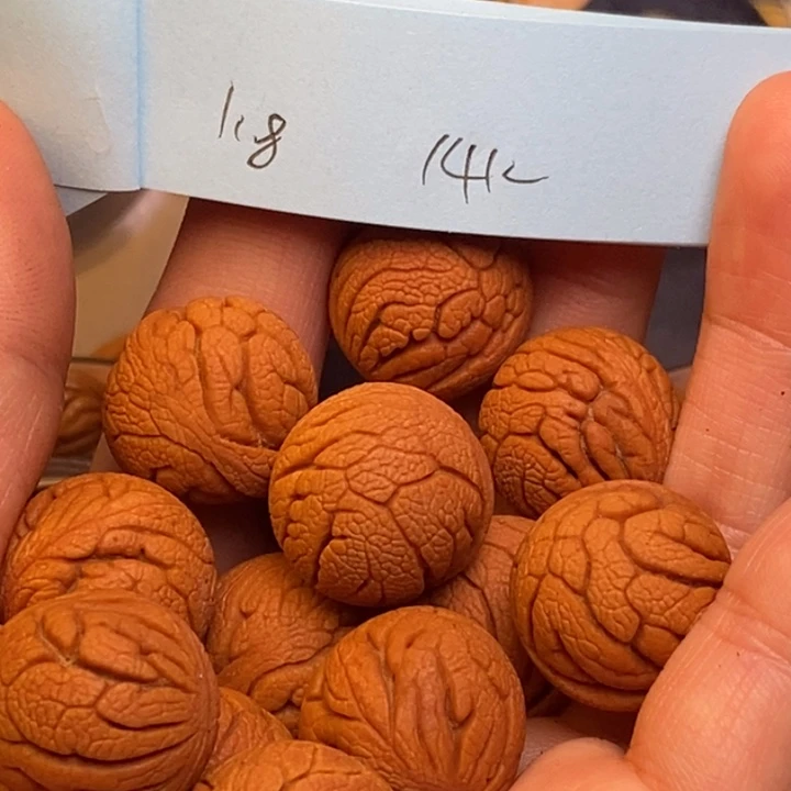 吊坠桃核秦岭龙纹桃核18尺寸