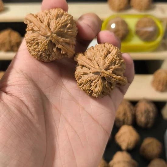 文玩核桃吊坠41白狮子有黄