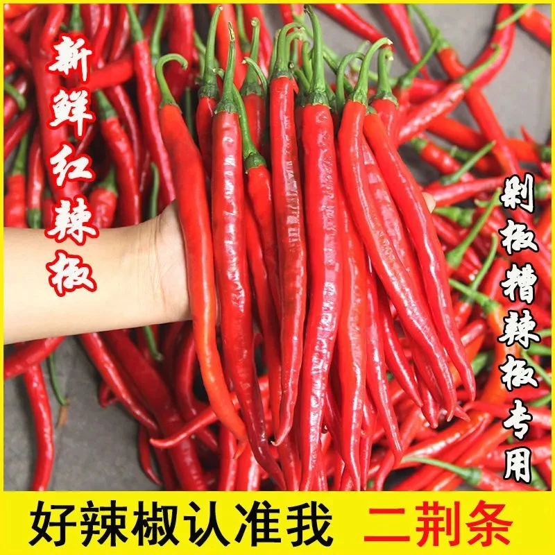新鲜红辣椒红线椒红二荆条贵州红海椒香辣可做剁椒辣椒酱