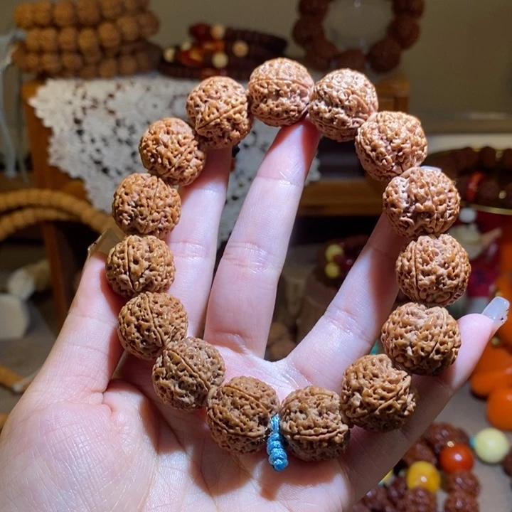 金刚菩提吊坠195原籽五爪金龙粗筋爆肉一物