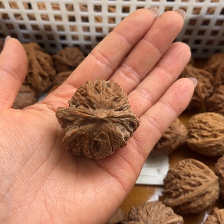 地***干吊坠文玩核桃蛇头