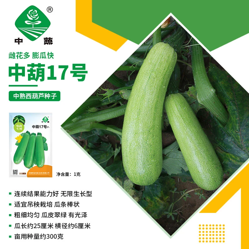 ZhongShu/中蔬【农科院】中蔬西葫芦种子蔬菜种子农科院蔬果种子