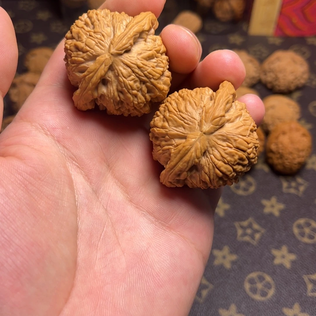 文玩核桃把件45白狮子