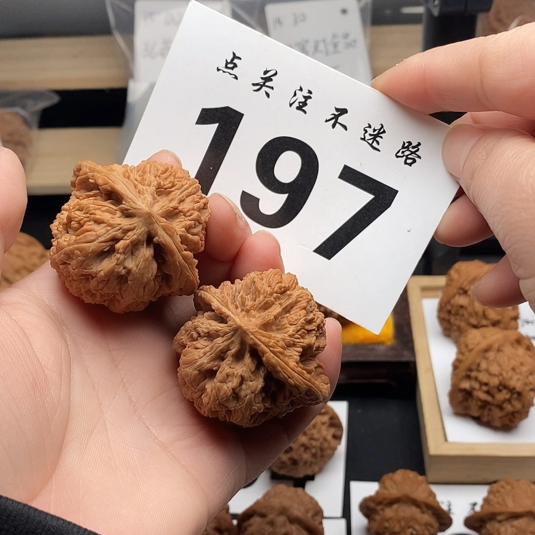 核桃43将军膀。