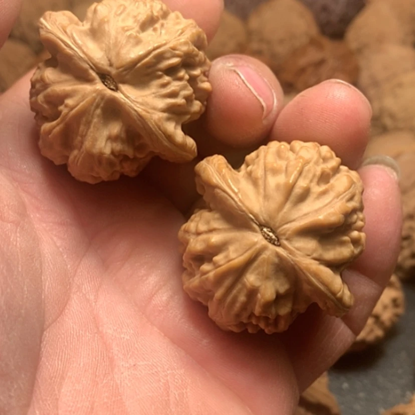 【闪购商品】C***界大红袍