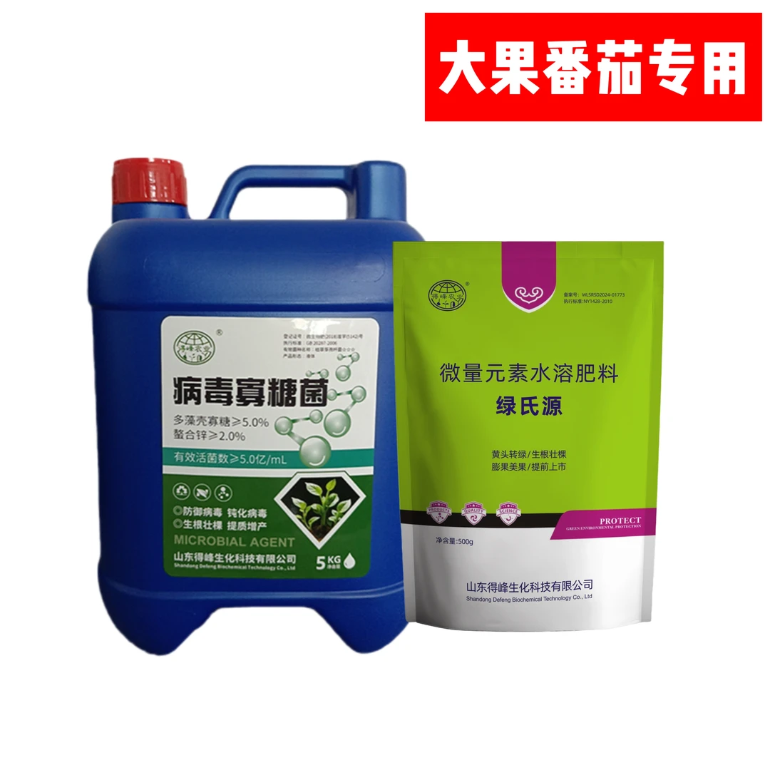 预防病毒 大果番茄专用