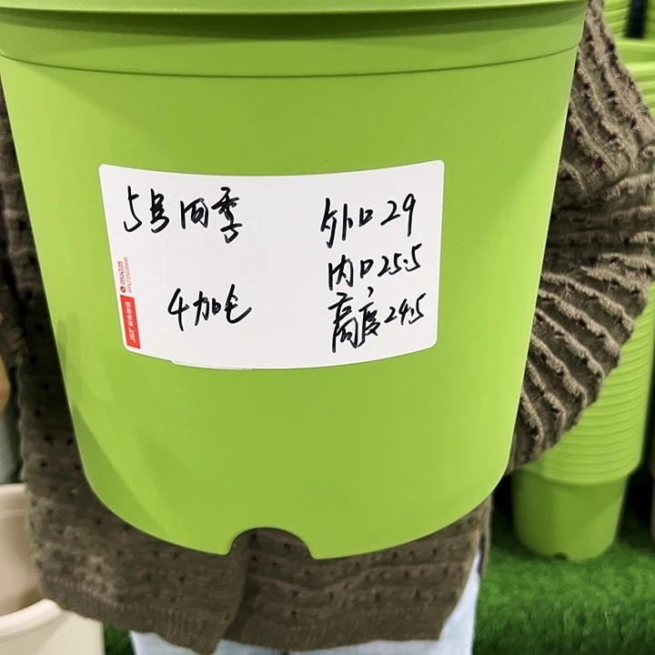 特价5号四季口29高24果绿色无托5只