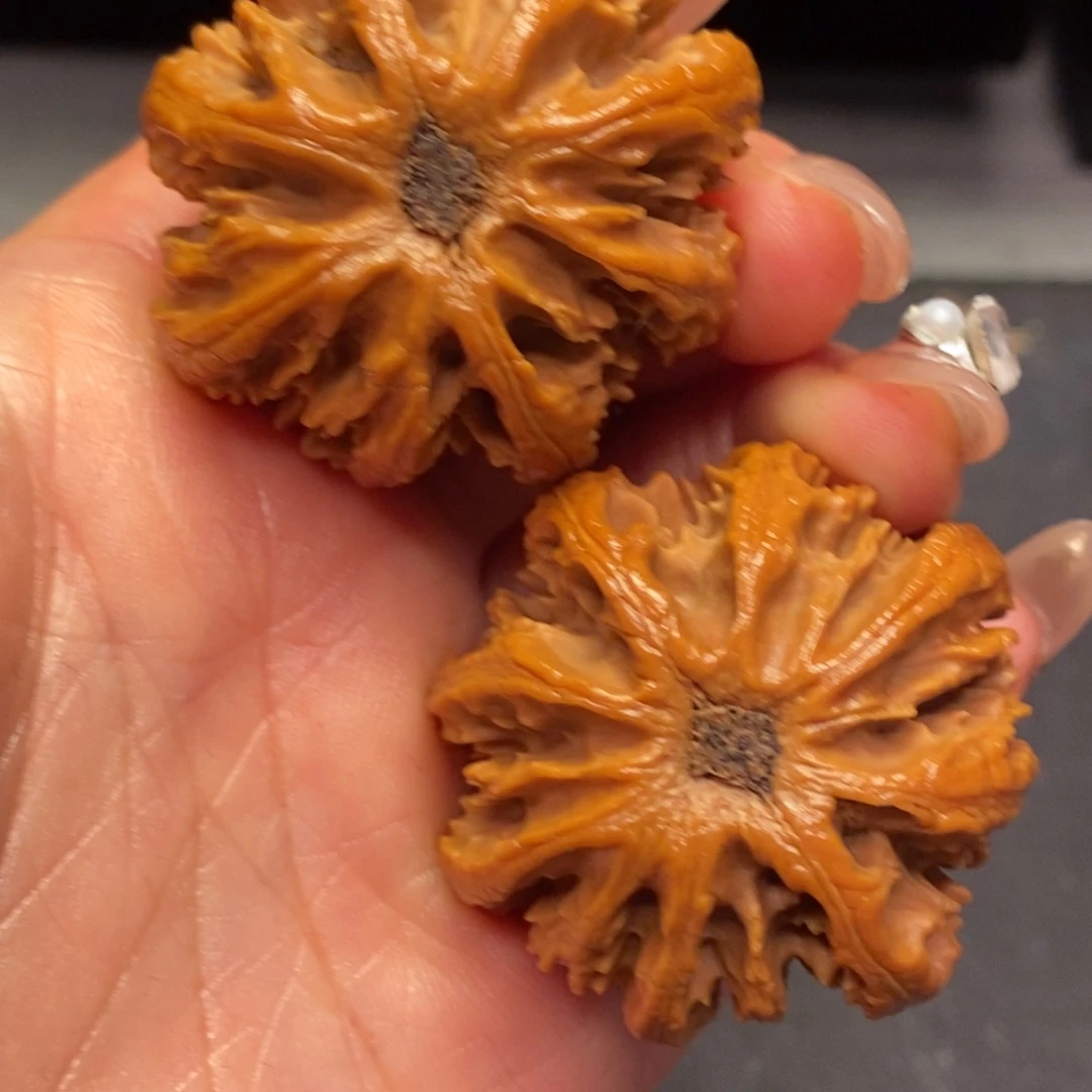 文玩核桃把件核桃野生的