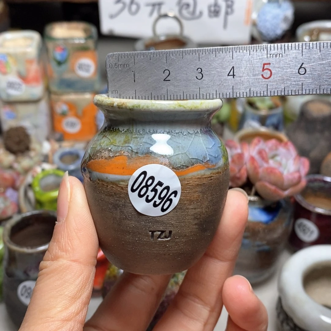花盆拍5送一个小礼物