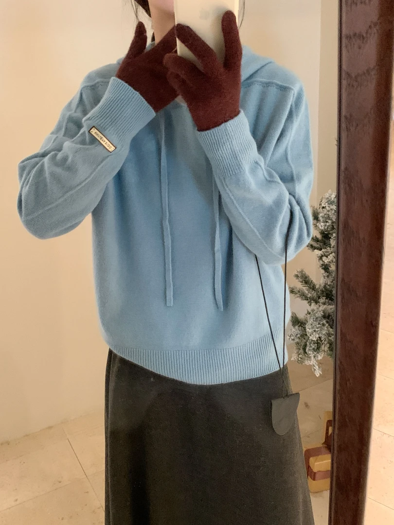 【潘潘.678807】2025百搭多巴胺糖果色100%绵羊毛无缝一体卫衣帽衫