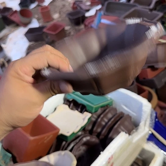 是一个不知名作家与著名导演