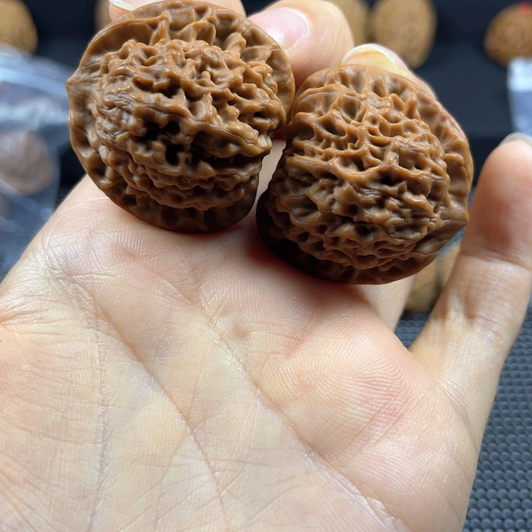 遂*秦岭神树秦闷小王