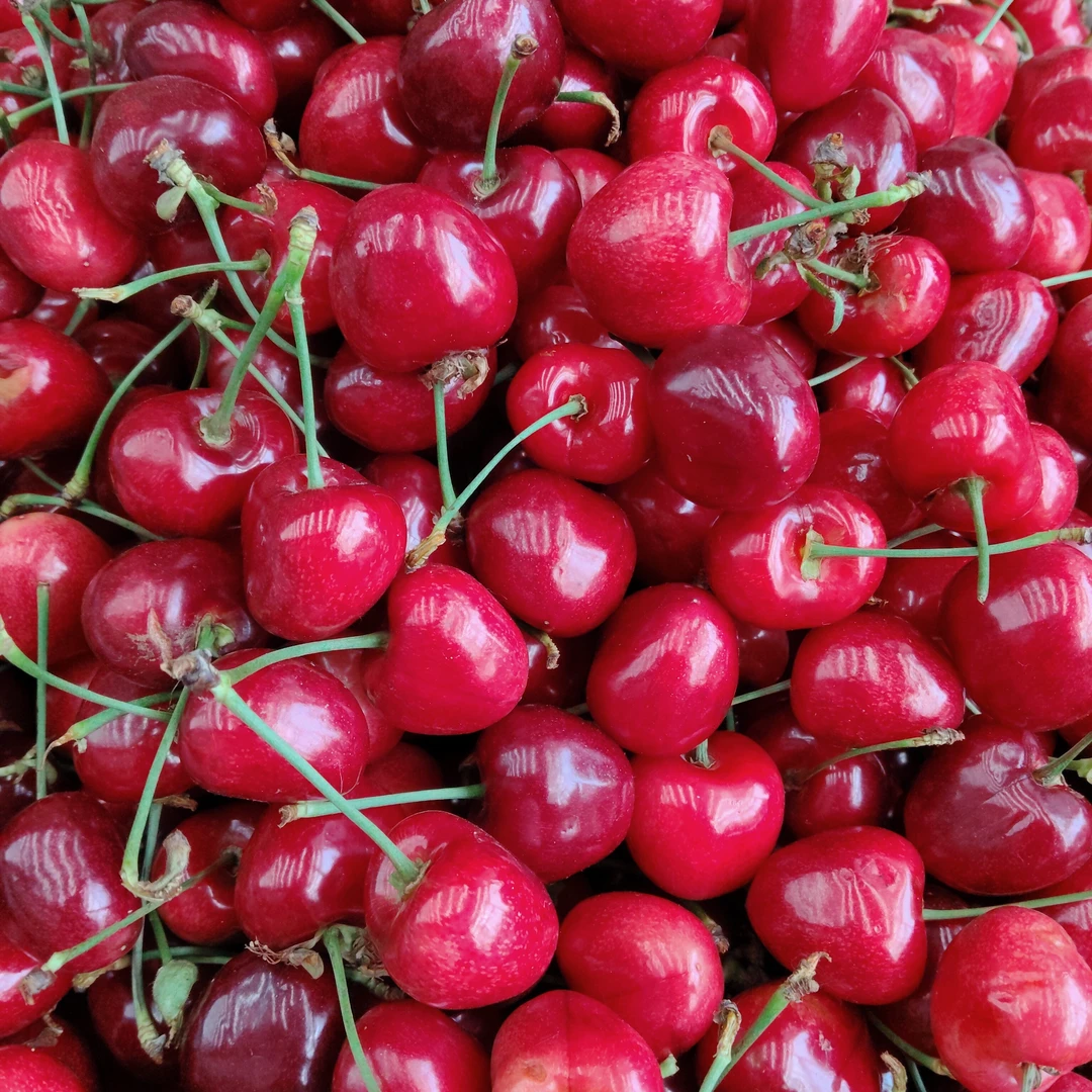 小时达大连樱桃特价款XL500g其他品种