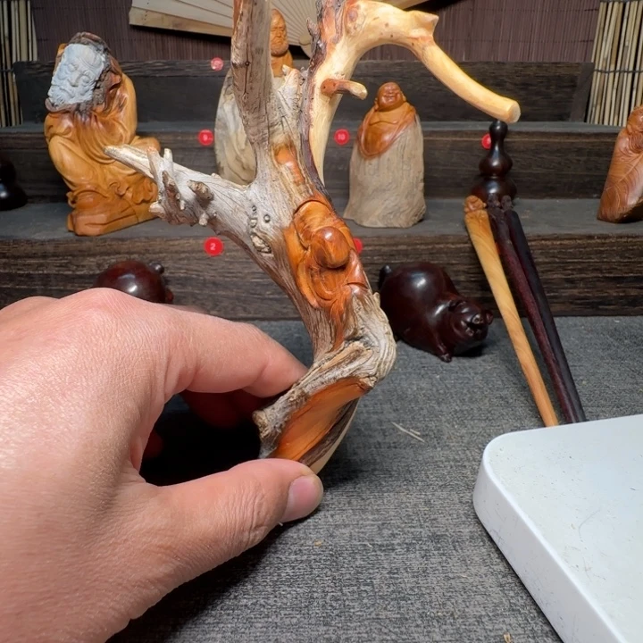 古***者柏木（崖柏）好的好吧好吧好