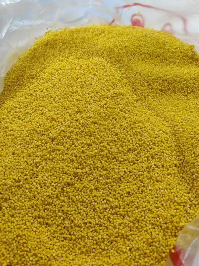 产自东北大草原优质小米