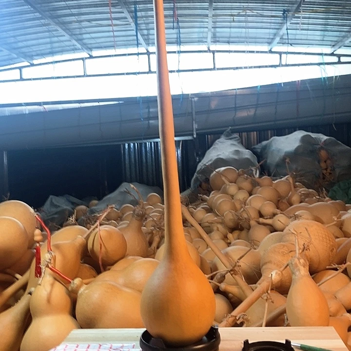 葫芦葫芦葫芦葫芦