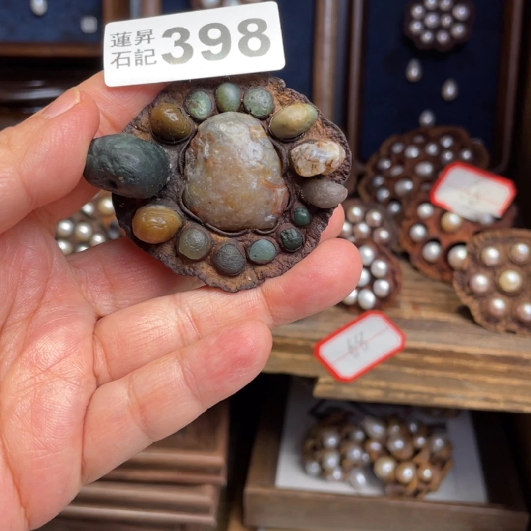 核桃木/黑胡桃（胡桃木）布**舍398