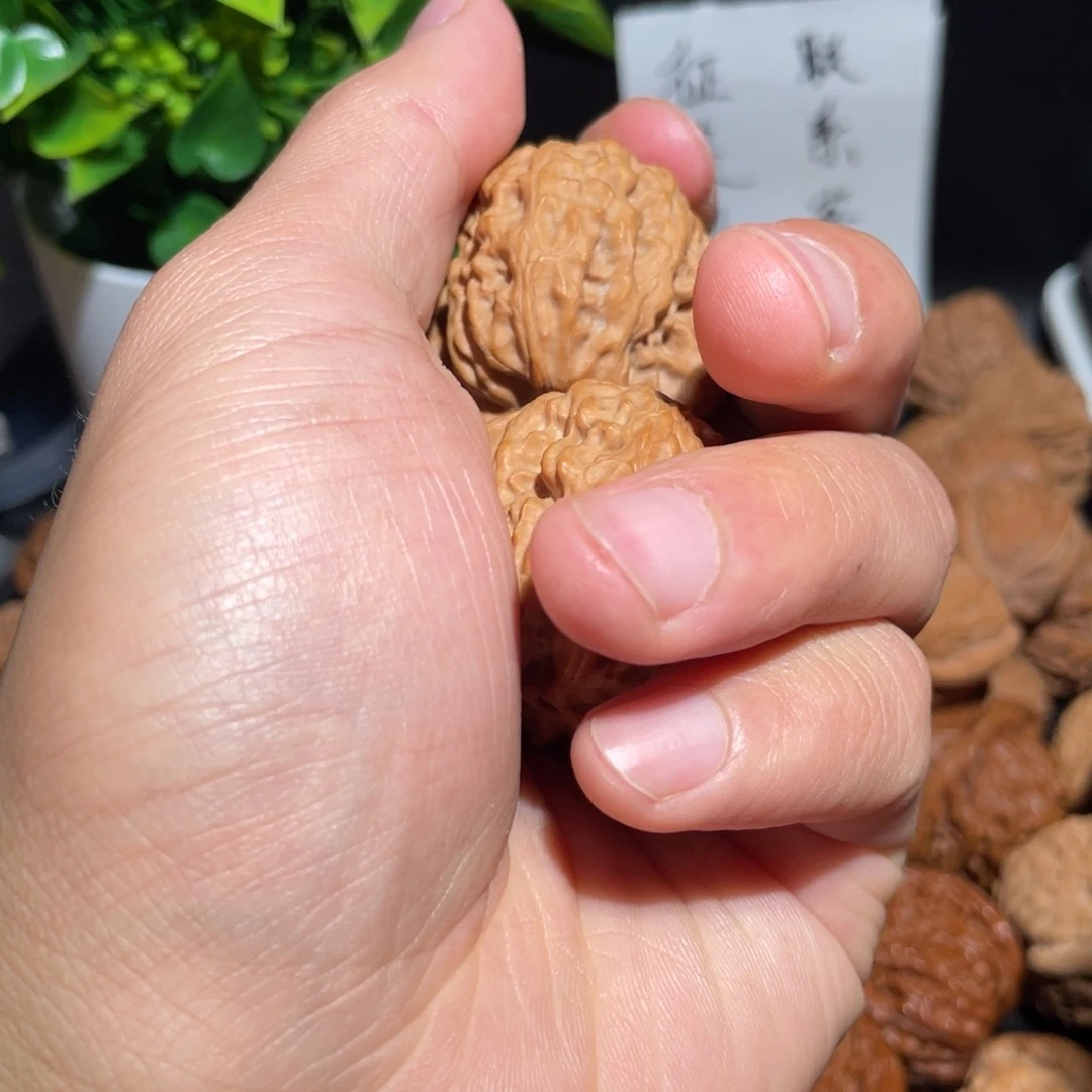 文玩核桃把件36野狼