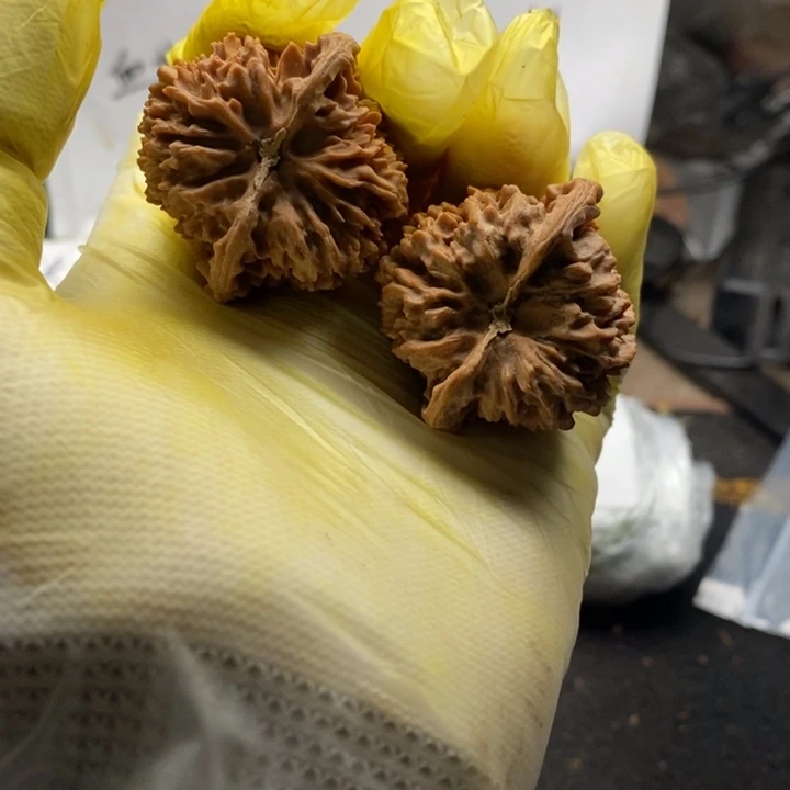 想***奇文玩核桃满天星一对40*37