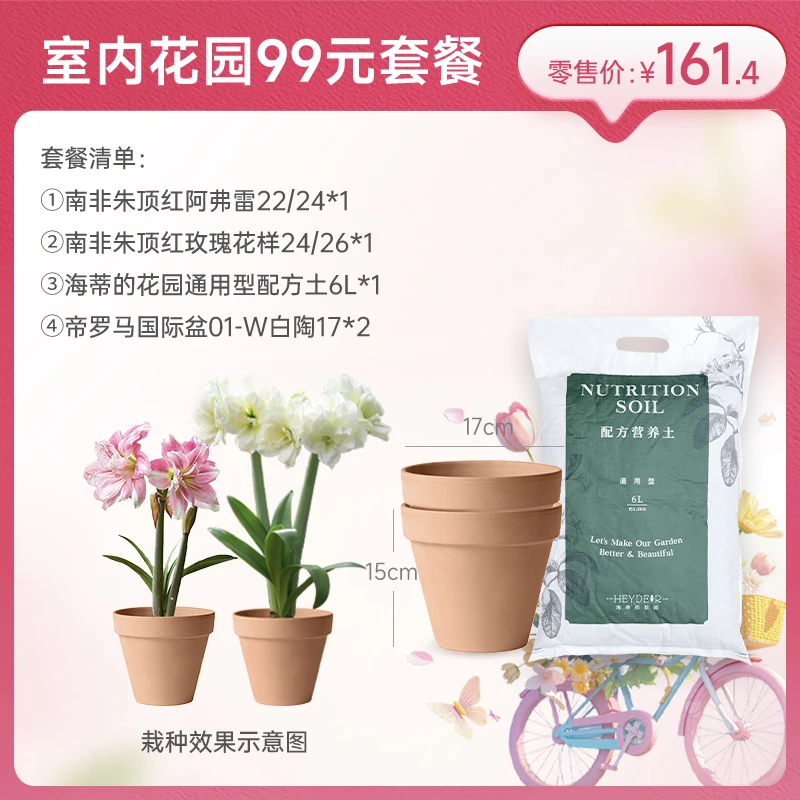 海蒂的花园店庆花园植物混搭套餐月季绣球花灌木天竺葵庭院造景