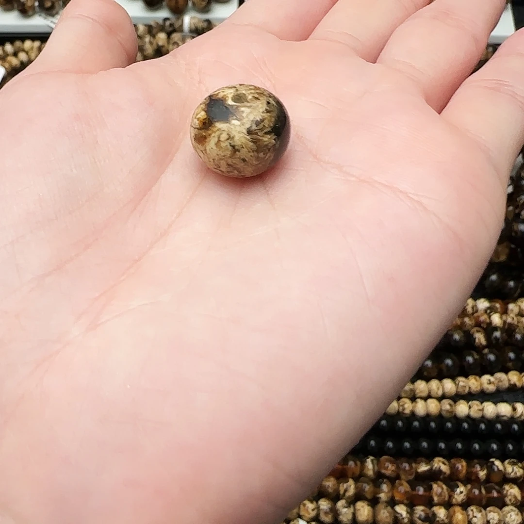 荔***菌未镶嵌琥珀手链抚顺琥珀