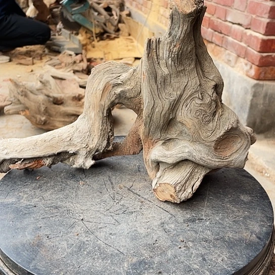 爱***婆香榧木崖柏崖柏崖柏