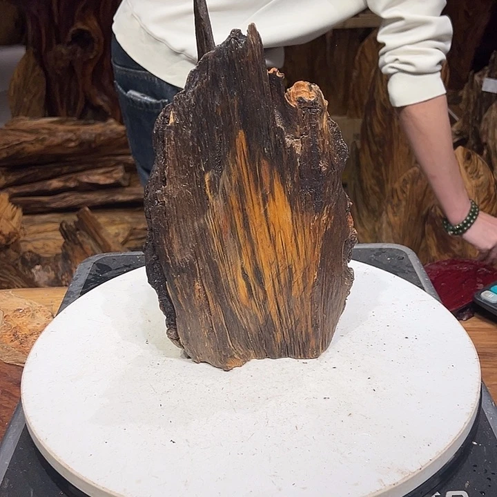 松木（琥珀木）大**！