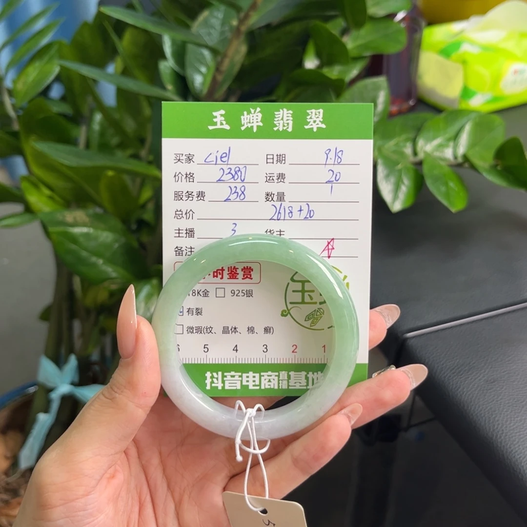 C***l未镶嵌手镯翡翠手镯