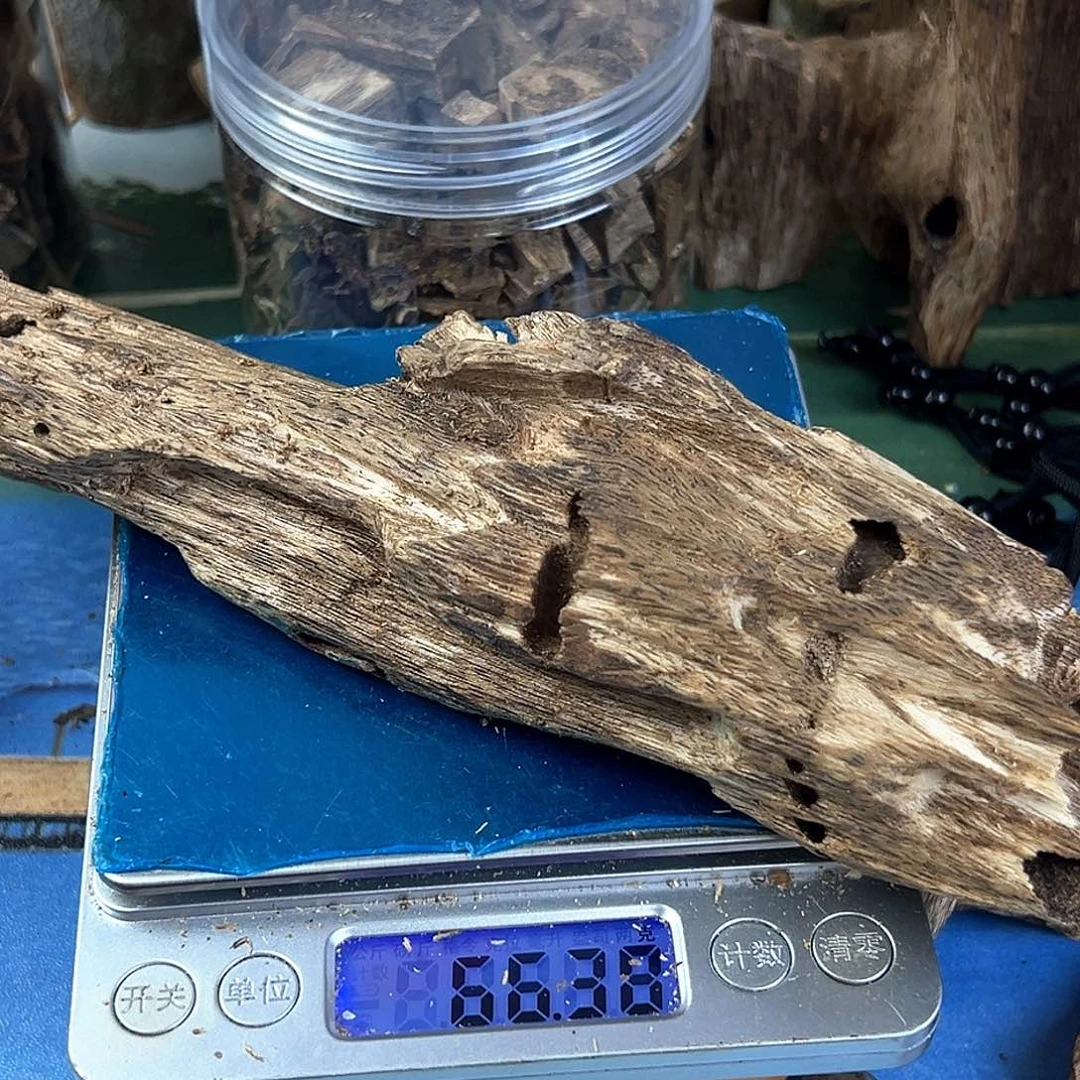 香料绿奇楠虫漏金沙叶66克