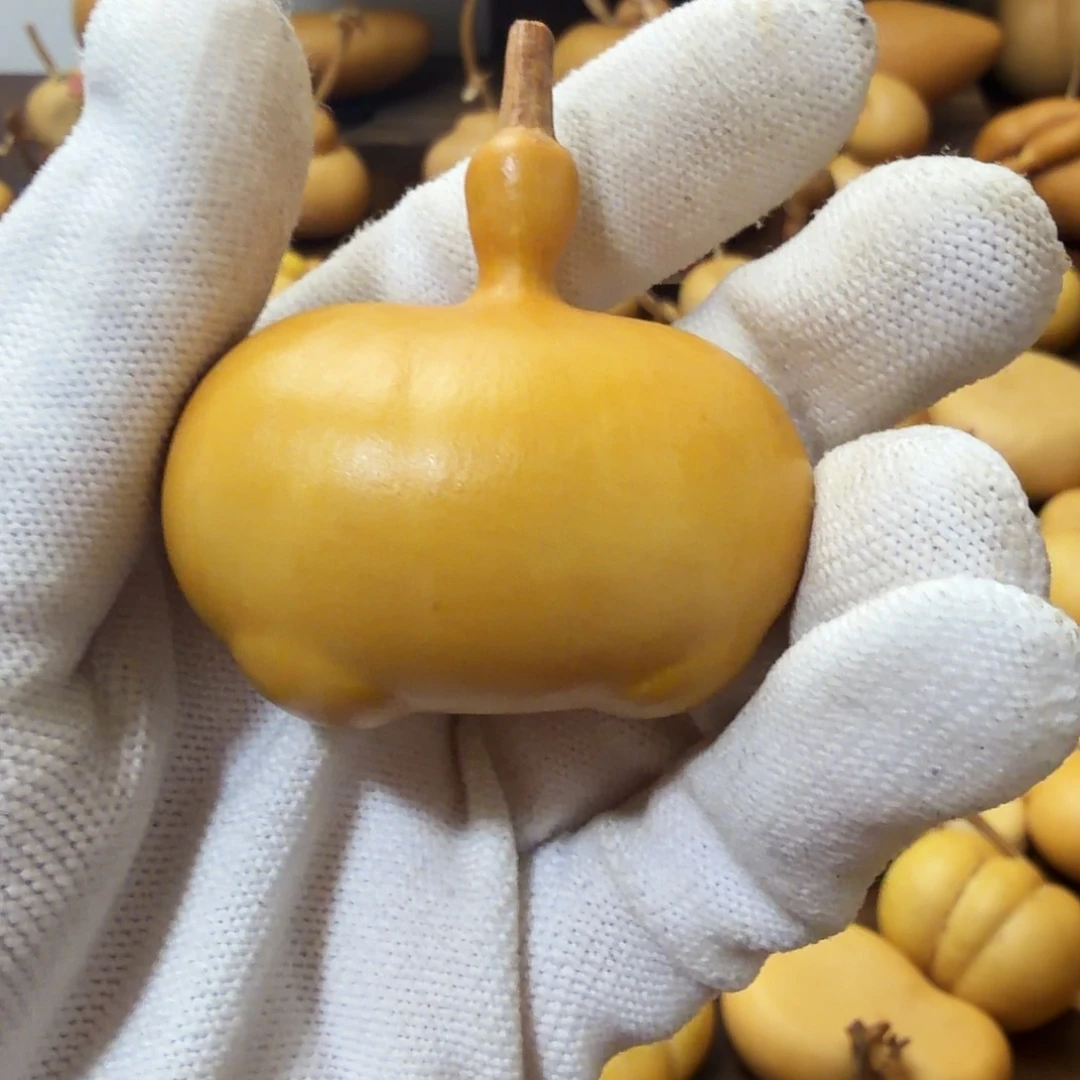 青***董纯天然的这么葫芦 2