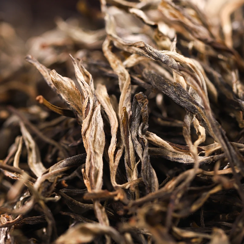 MK9号2023年基地古树普洱生茶散茶2-19日