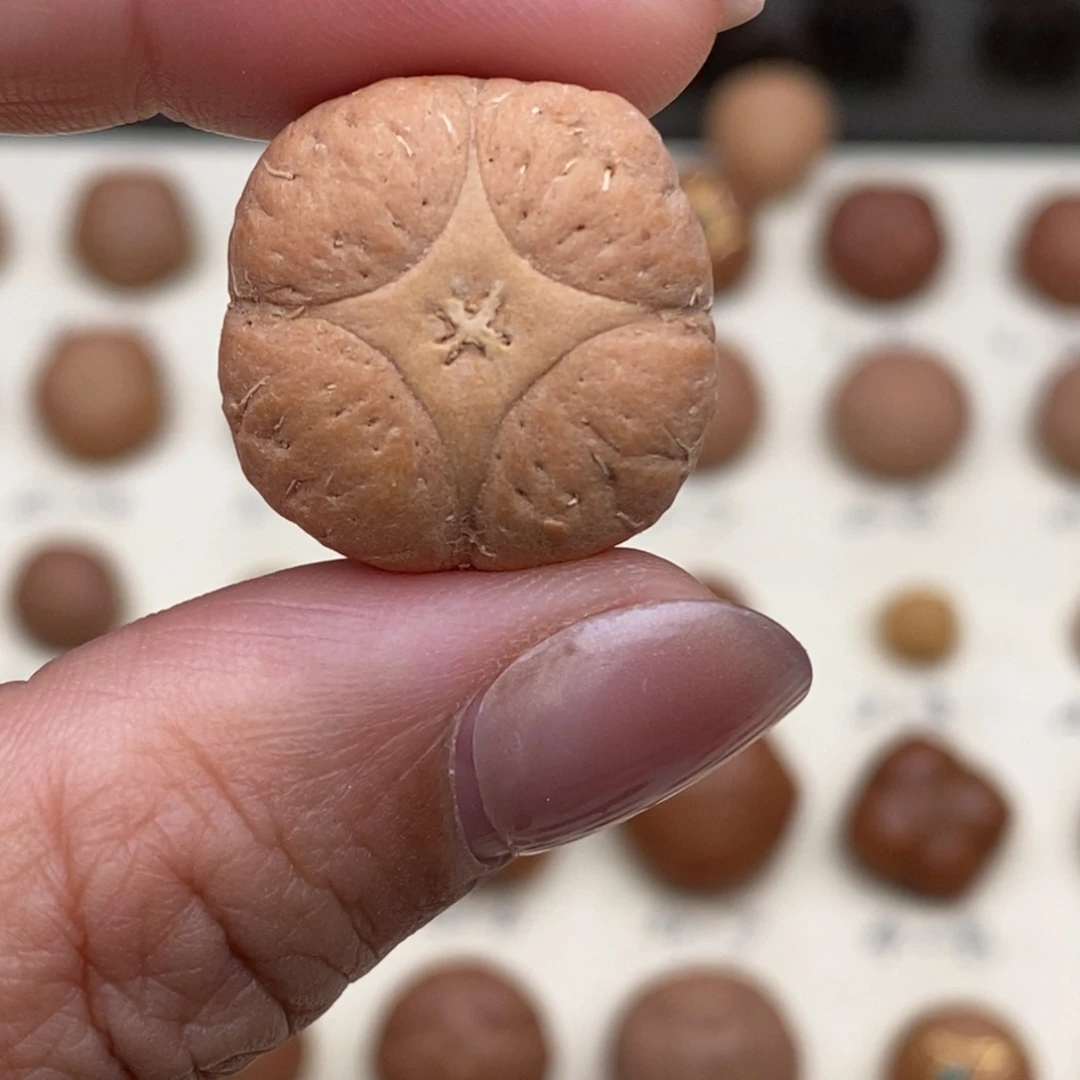 吊坠凤眼菩提麒麟