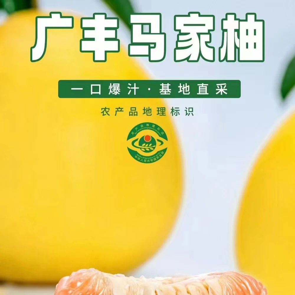 广丰马家柚正宗江西特产当季红心蜜柚新鲜采摘多汁柚子红心柚
