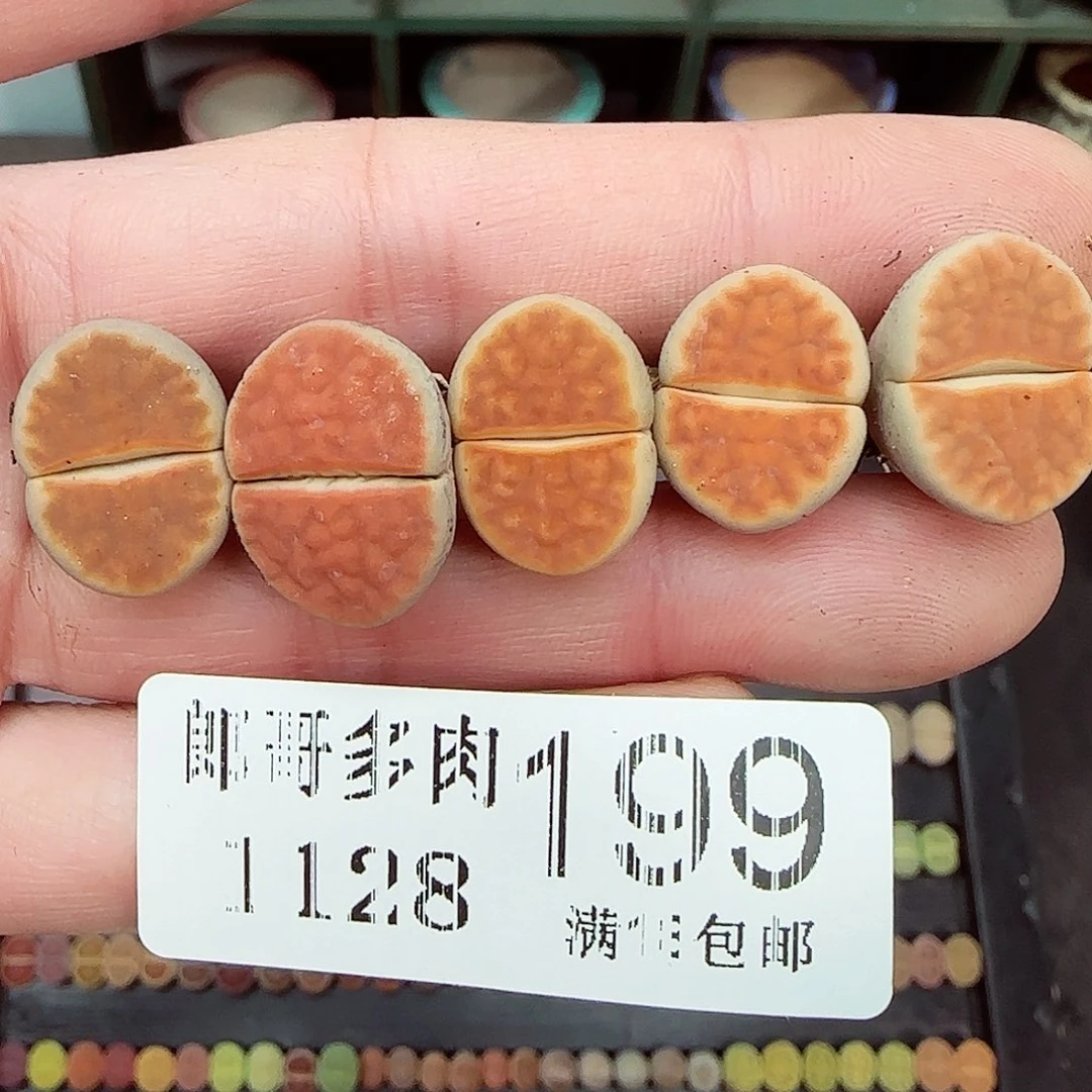 满满18包邮1128-199