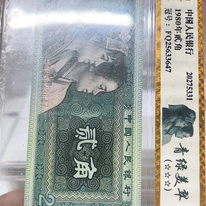云***鹤06964801……………………………………