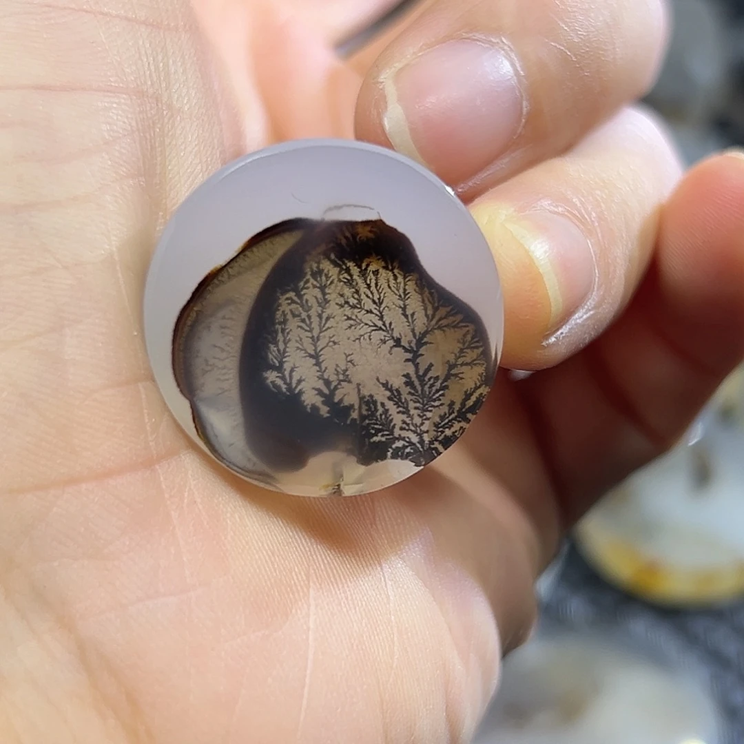 春***晓玛瑙/玉髓未镶嵌珠宝半成品