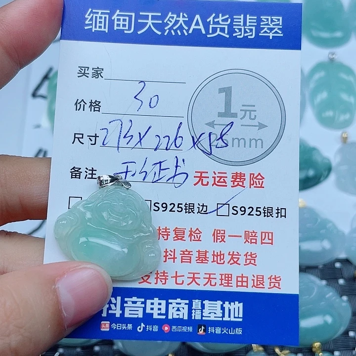 翡翠银S925镶嵌颈饰翡翠