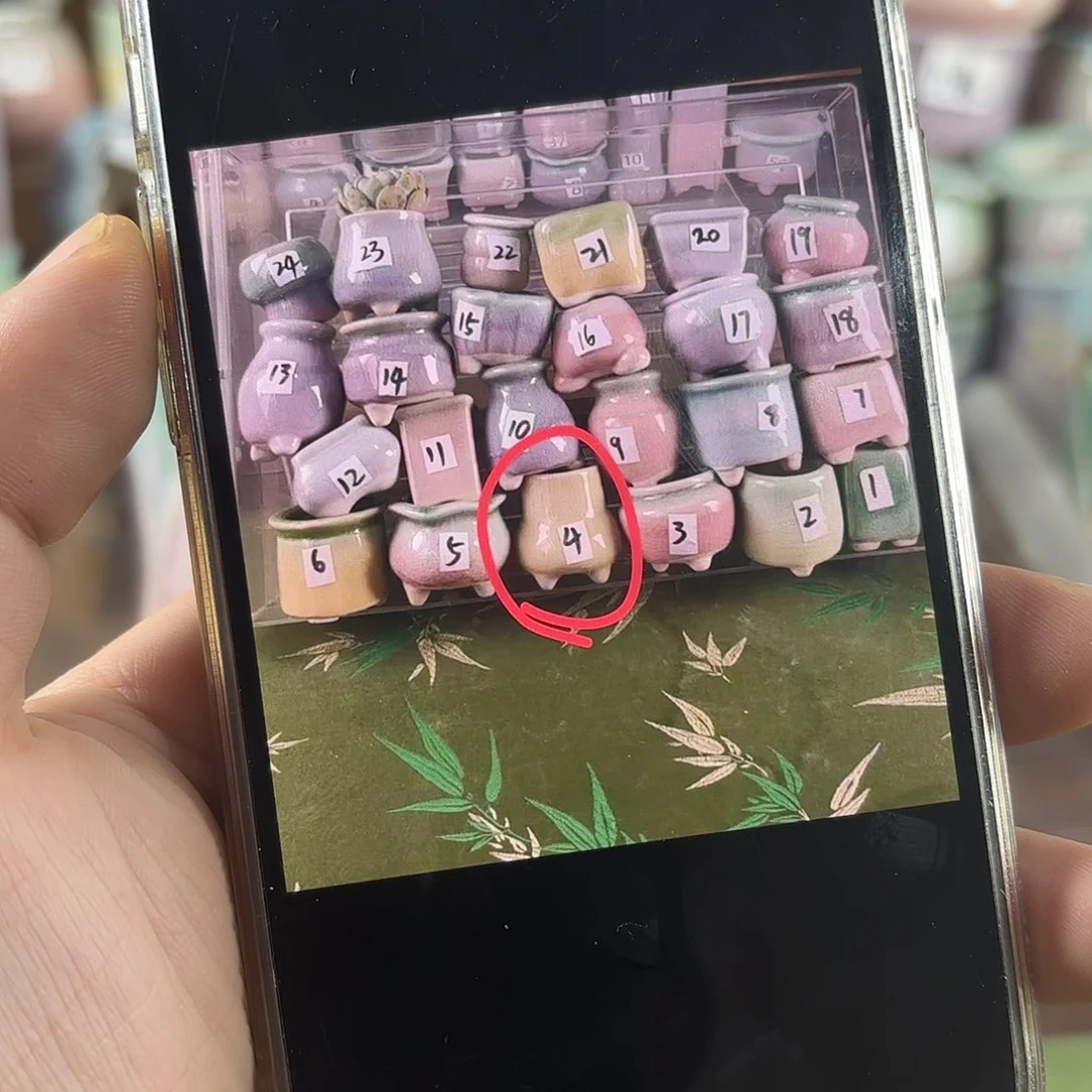 量货/口高深浅搭配发12