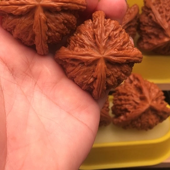春***国核桃核桃核桃核桃
