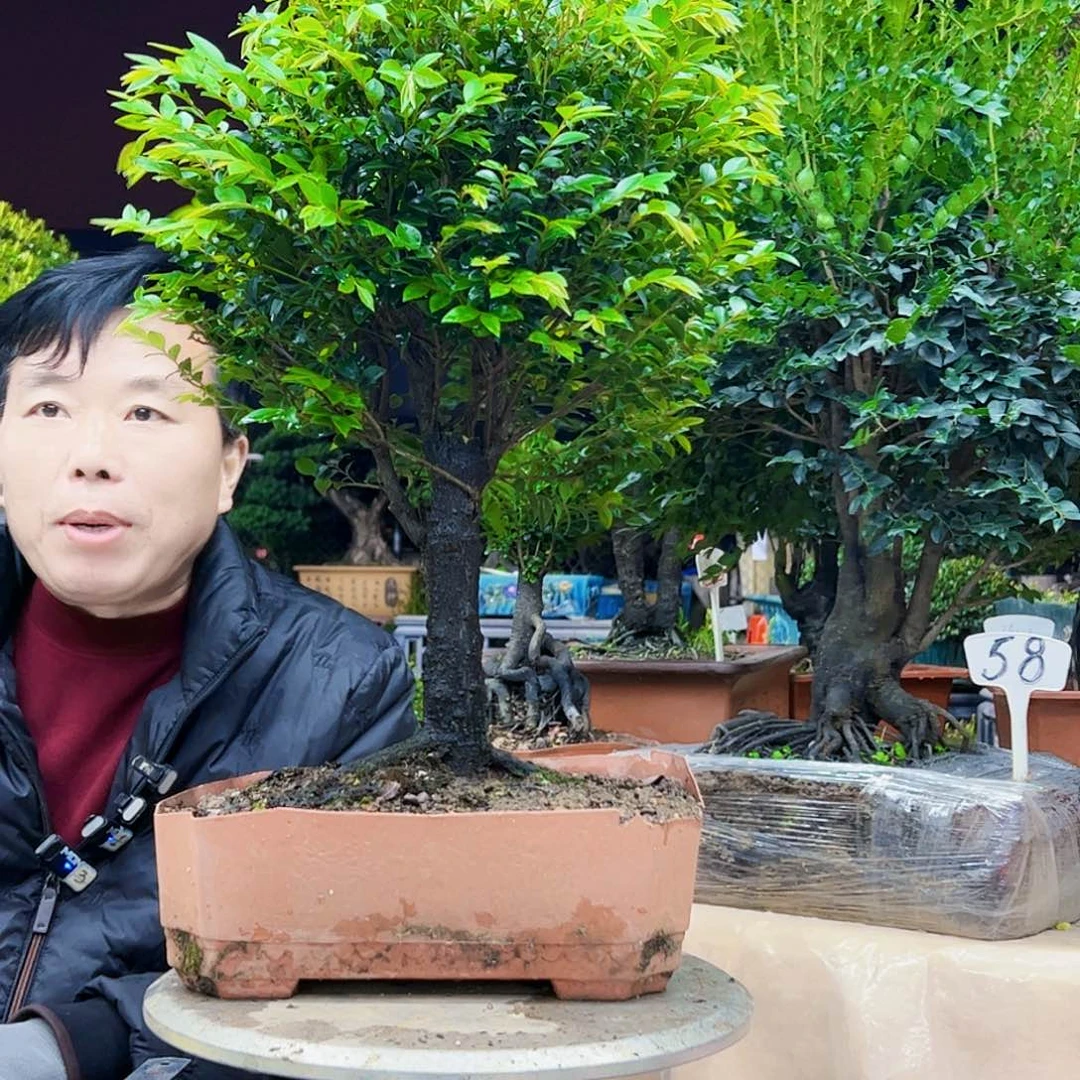 以实际为准用****8