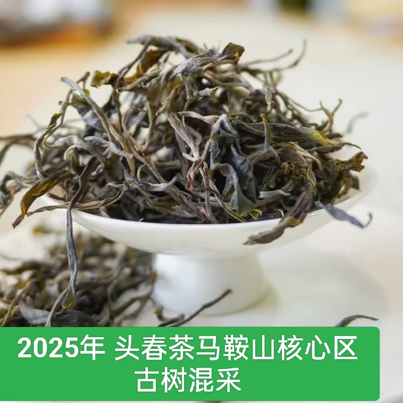 2025年马鞍山古树春茶散茶 兰花香 回甘生津