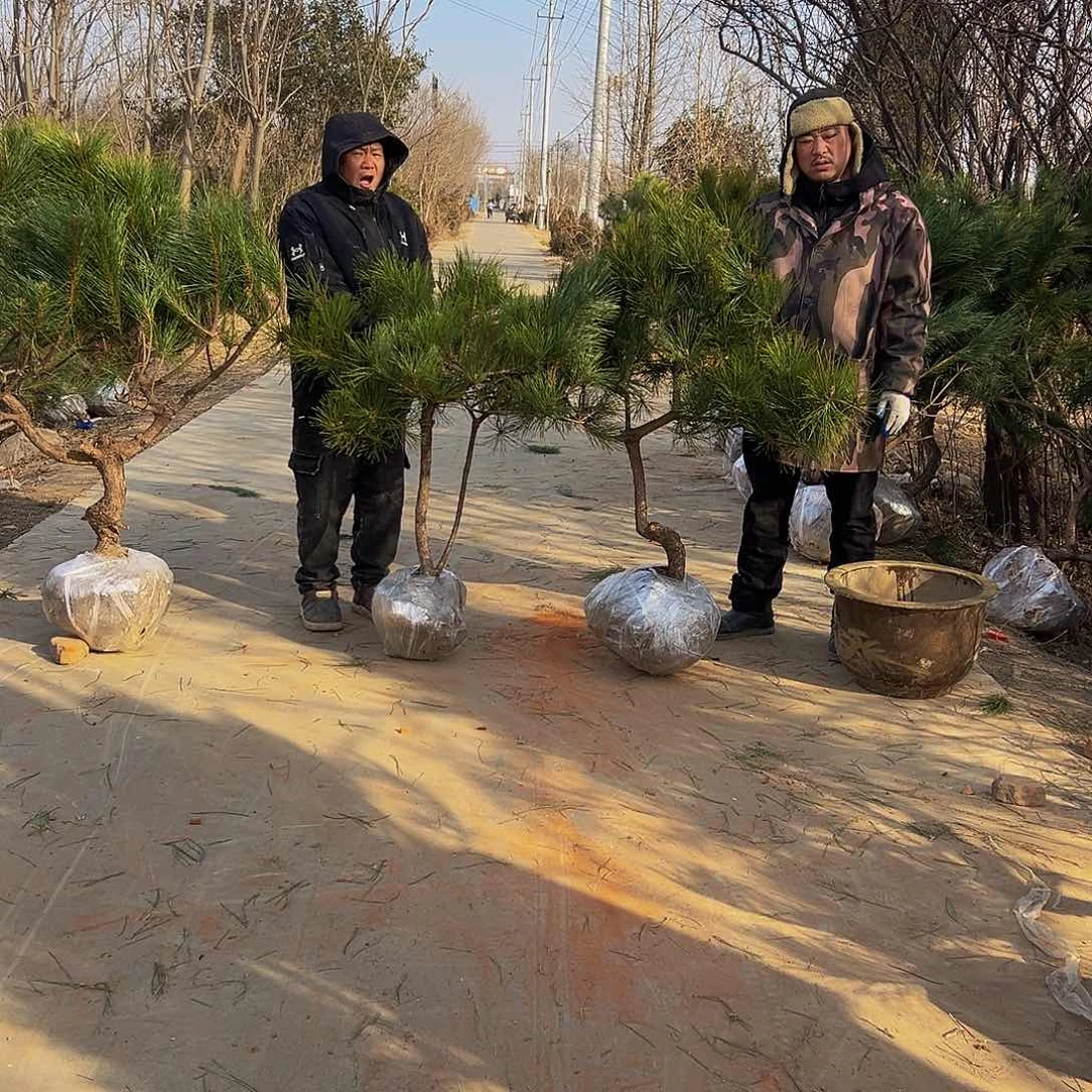 辉****孙8888888888888