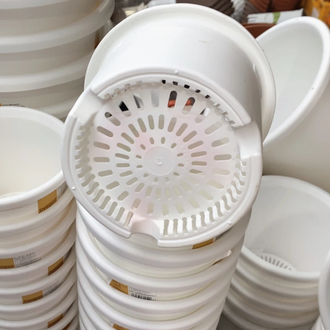 4个爱丽丝6号（20.3×16.7）白色无托