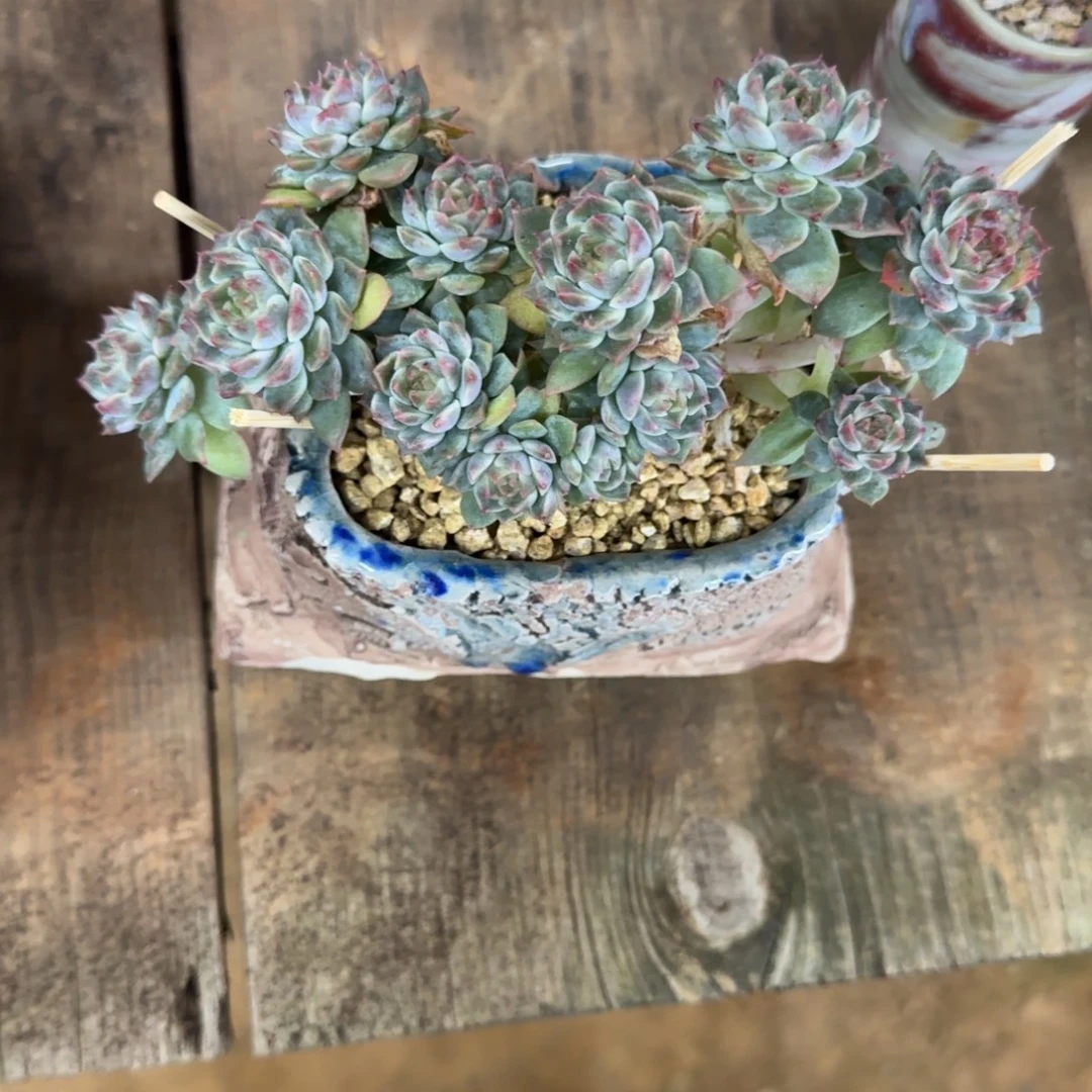 ****哈哈哈哈哈哈哈哈哈哈