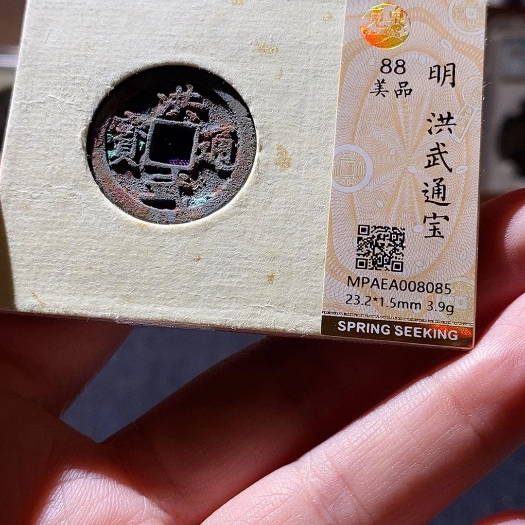 贝壳7 恭喜发财恭喜发财