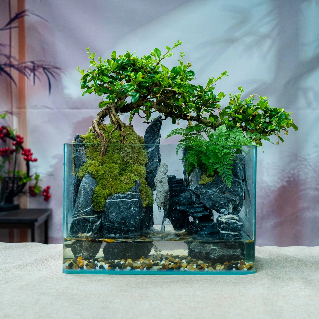 【特惠】流水景观纳福-福建茶绿植尺寸长30宽18高20厘米成品创意