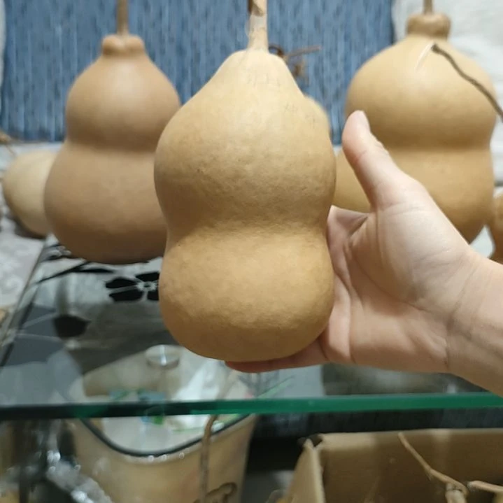 小***爹藤家居饰品家居饰品