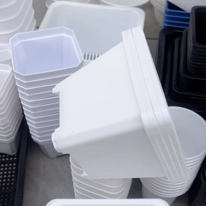 白高口13高10一组20