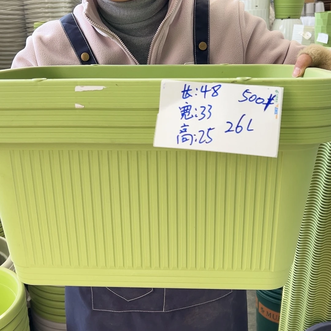 菜盆500#果绿色3个无托